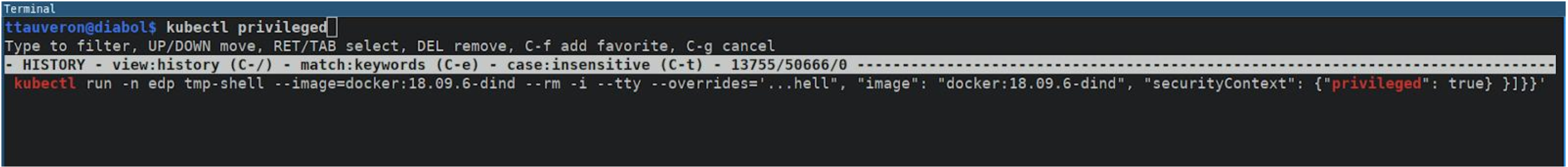 Terminal showing kubectl command to run a temporary privileged pod in the edp namespace using docker-in-docker image
